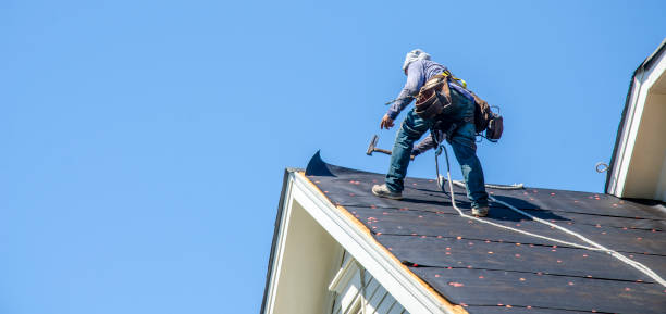 Best Gutter Installation and Roofing  in Walden, NY